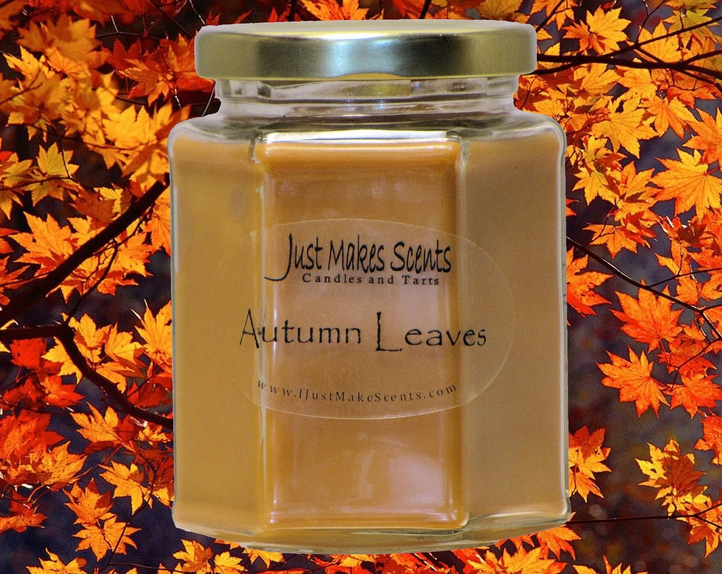 Fall Harvest Variety 3-Pack Soy Candle - Candles & Gifts