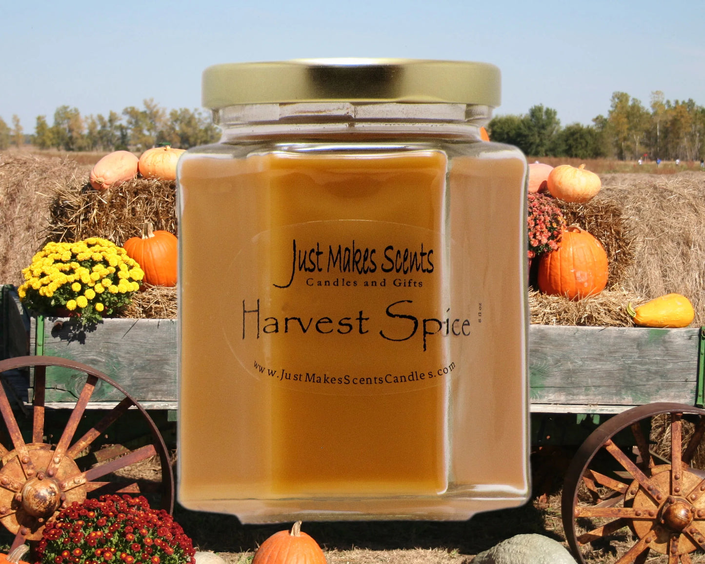 Fall Harvest Variety 3-Pack Soy Candle - Candles & Gifts