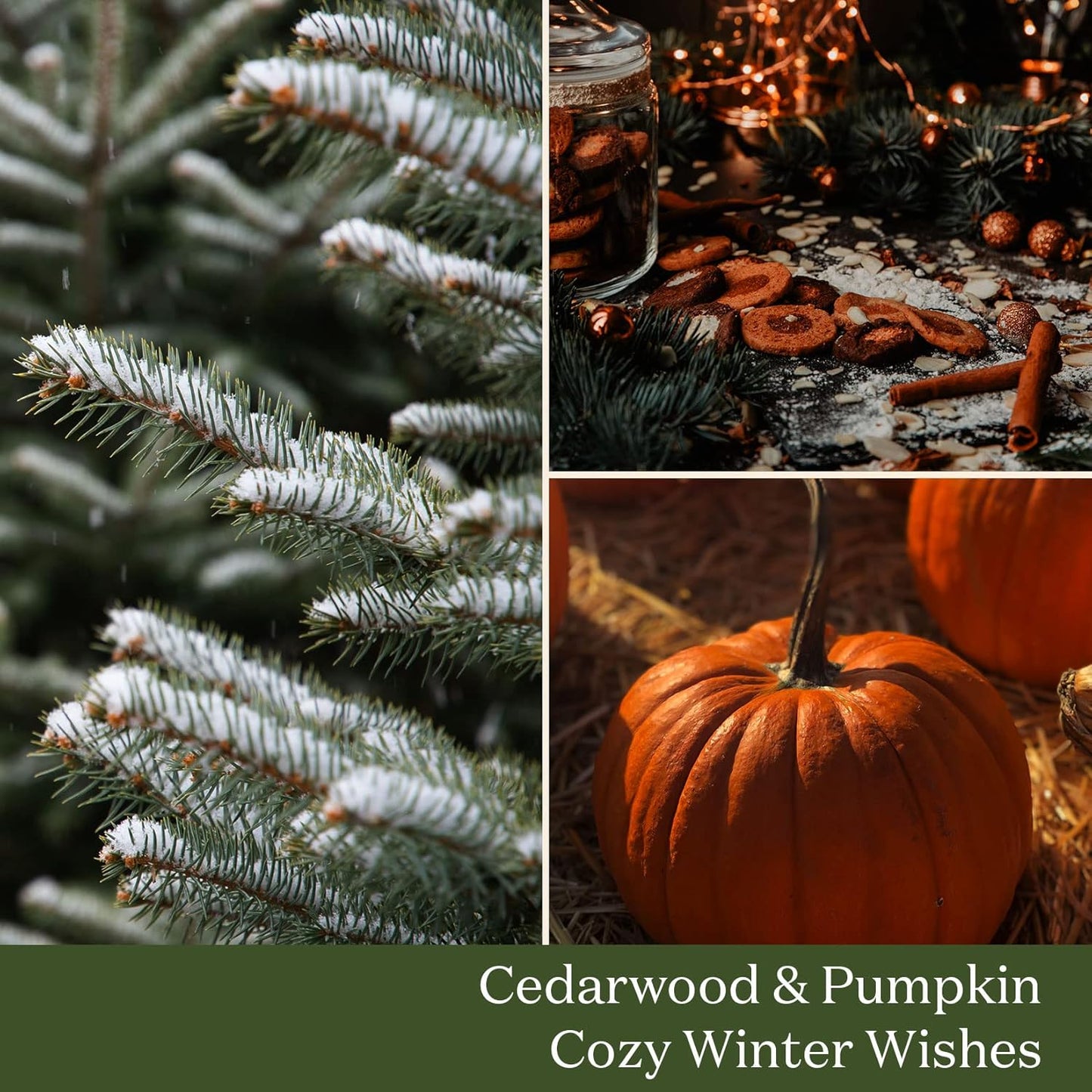 Christmas Candles, Cedarwood Fir & Pumpkin Cinnamon Candle, Small Candle Set 2, Winter Candle, Natural Soy Candle Gift, 45 Hours Each, Gift for Holiday