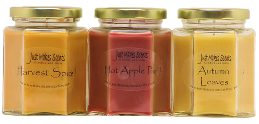 Fall Harvest Variety 3-Pack Soy Candle - Candles & Gifts